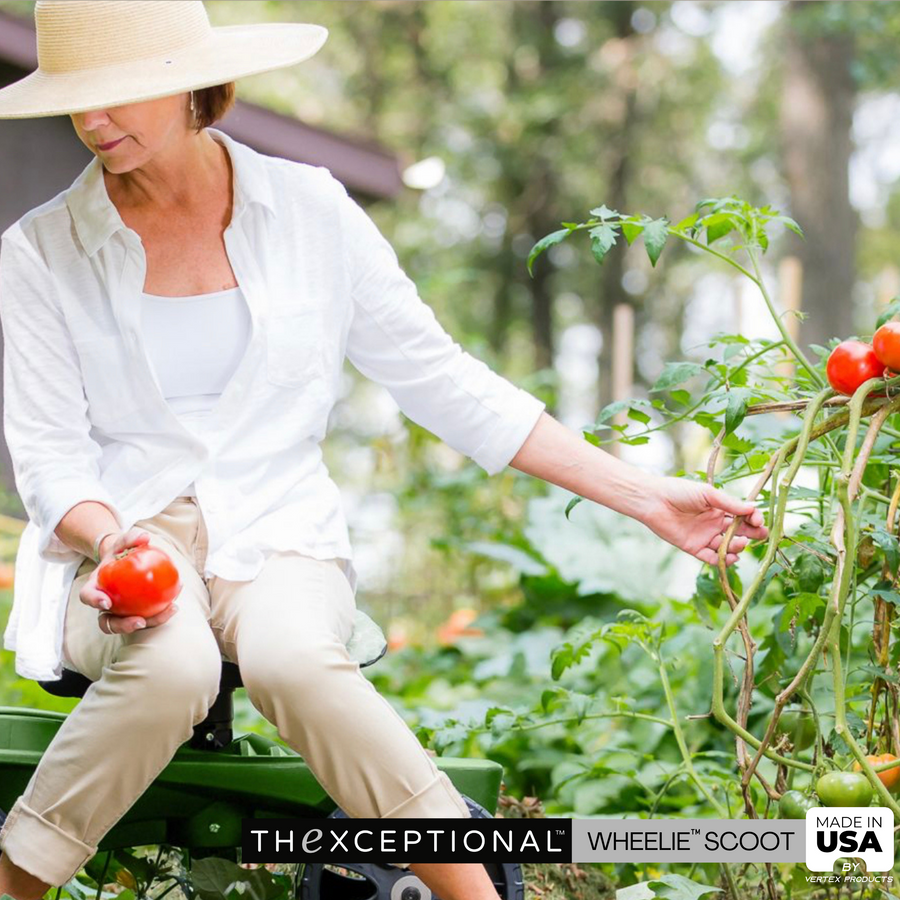 Woman gardening with tomato plants using Wheelie Tool Toter garden seat comfortable mobile workstation for planting and harvesting.